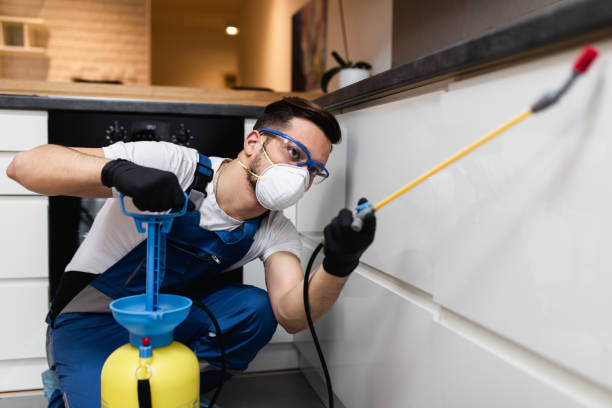 Professional Pest Control in Parkville, PA