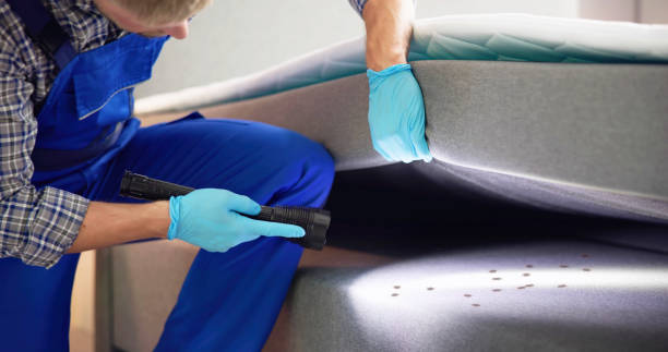 Best Best Pest Control Near Me  in Rkville, PA