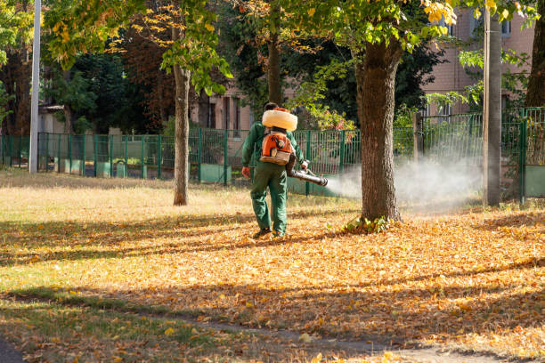 Rkville, PA Pest Control Pros