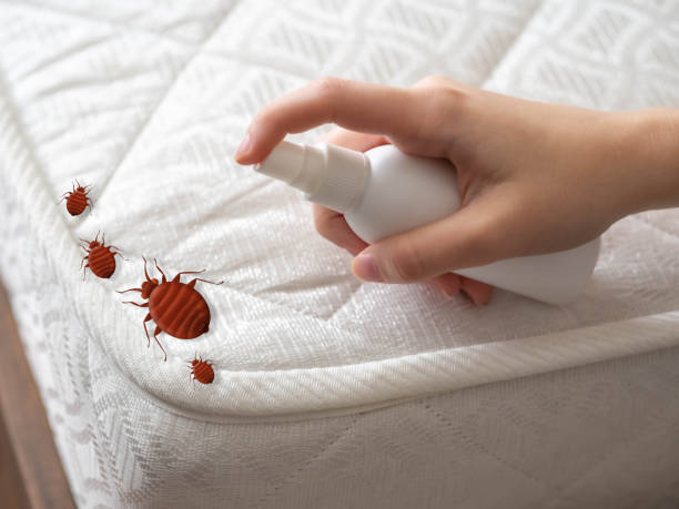 Pest Control for Restaurants in Parkville, PA