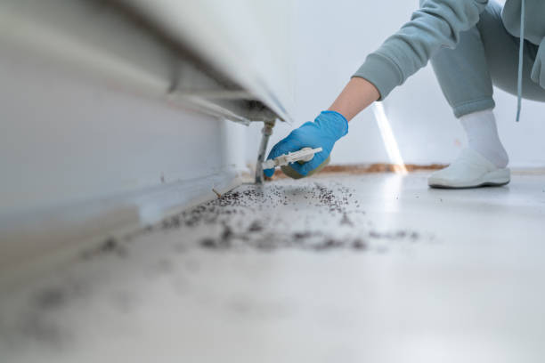 Best Best Pest Control Companies  in Rkville, PA