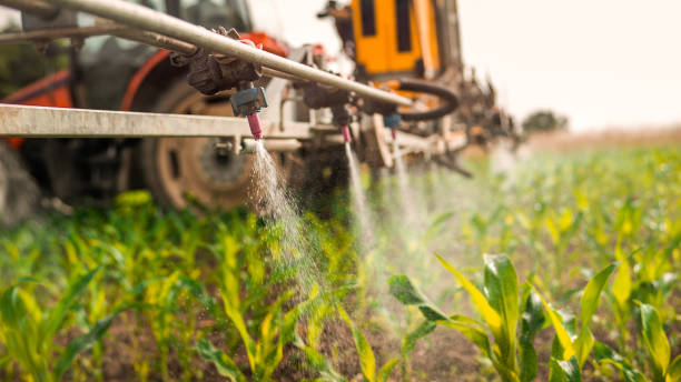 Best Commercial Pest Control Services  in Rkville, PA